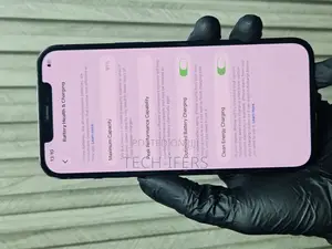 Apple iPhone 12 Pro Max 256 GB Gray
