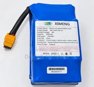 36V Hoverboard Lithium-Ion Battery Pack