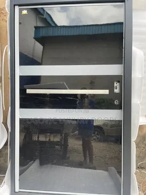 Black Mirror Glass Luxury Pivot Door Extra Height