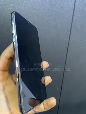 Apple iPhone 11 Pro Max 256 GB Black