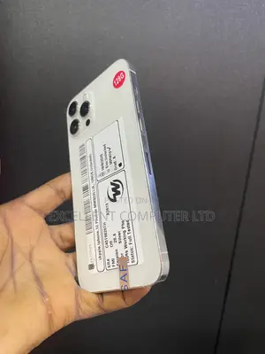 Apple iPhone 12 Pro Max 128 GB Silver