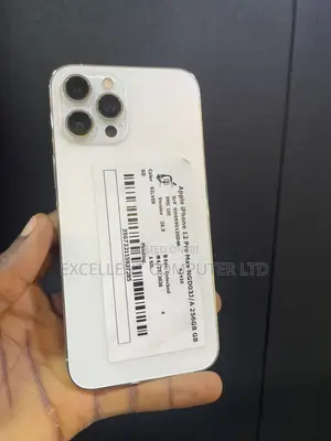 Apple iPhone 12 Pro Max 256 GB Silver