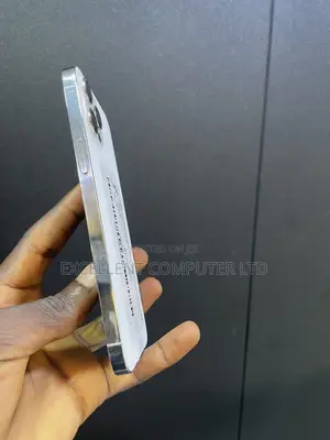 Apple iPhone 12 Pro Max 256 GB Silver