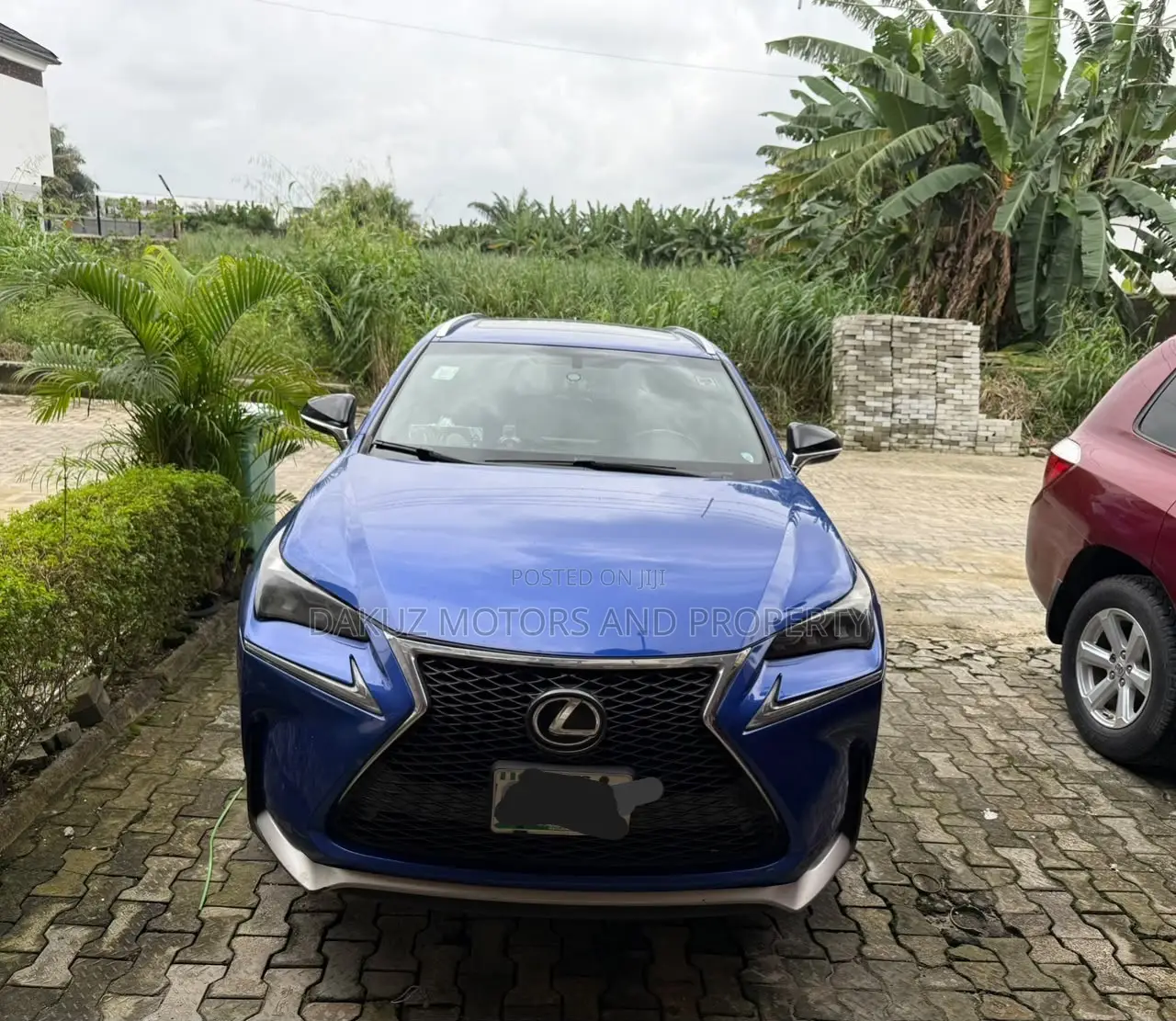 Lexus NX 2016 Blue