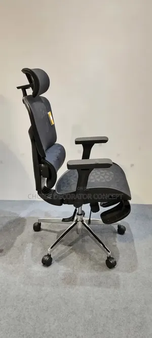 Premium Black Mesh Ergonomic Office Chair