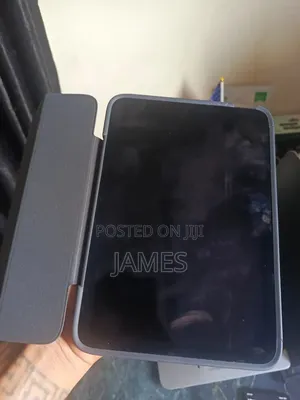 Apple iPad mini 6 256 GB Gray
