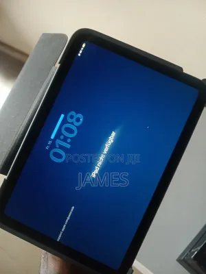 Apple iPad mini 6 256 GB Gray