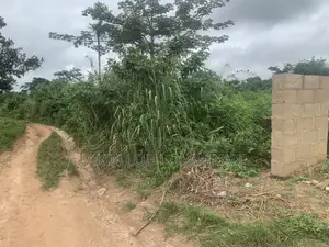 A Plot of Land Located at Blue Roof Estate Ido Area