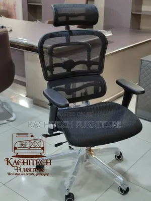 Ergonomic Mesh Chair