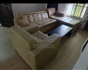 Modern Living Room Sofa Cushions for Sale – Used