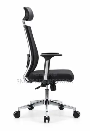 Aeroflex Executive Bone Ceo Imported Office Chair