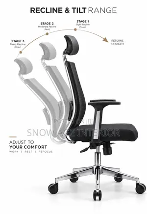 Aeroflex Executive Bone Ceo Imported Office Chair