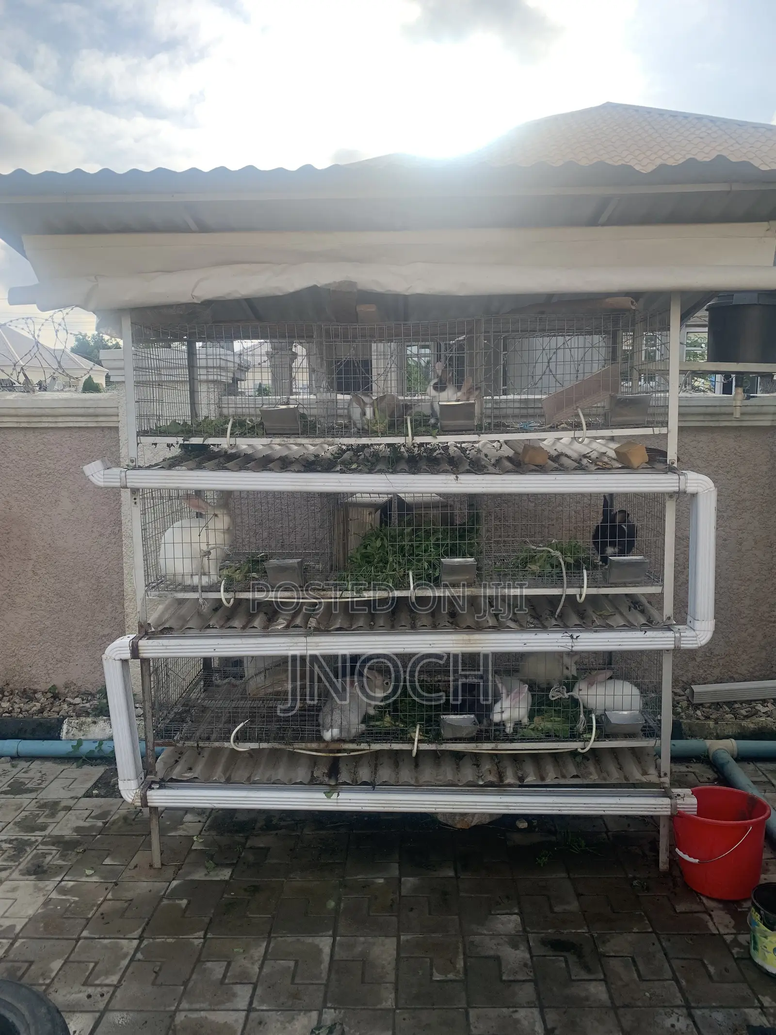 Rabbit Cage (Turnkey Assembly)