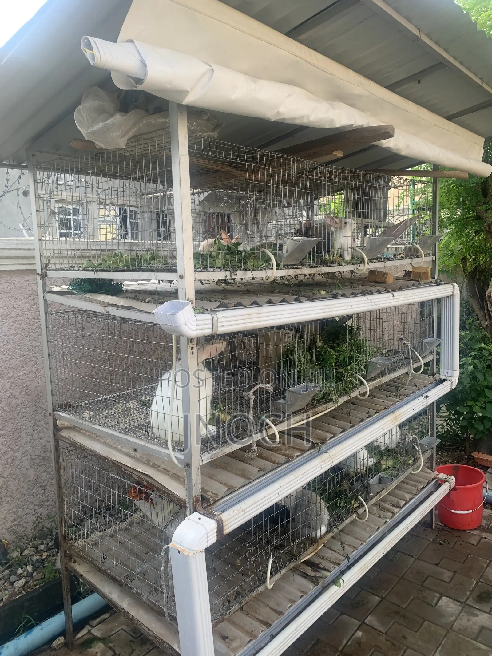 Rabbit Cage (Turnkey Assembly)