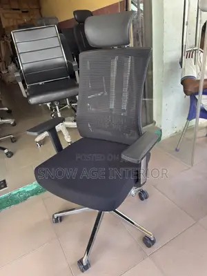 Aeroflex Executive Bone Ceo Imported Office Chair