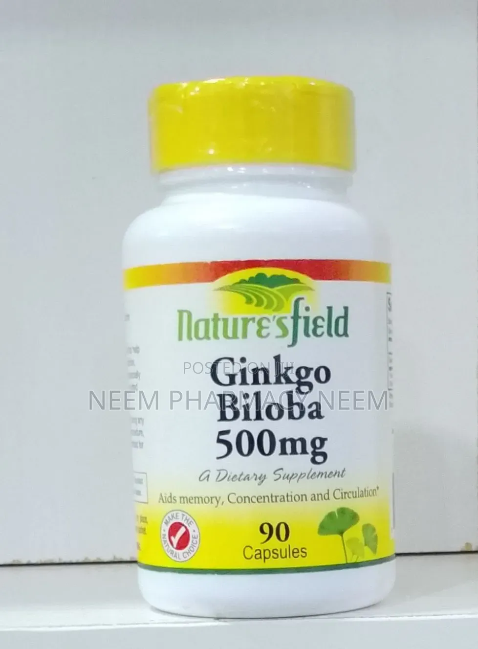 Nature's Field Ginkgo Biloba 500mg