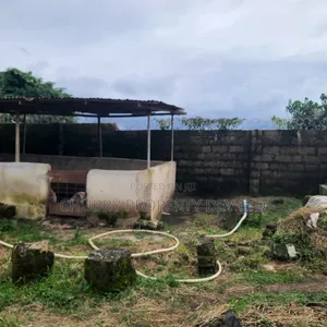 Plots of Land for Livestock Farming
