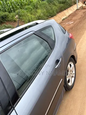 Peugeot 407 2007 Gray