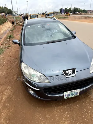 Peugeot 407 2007 Gray