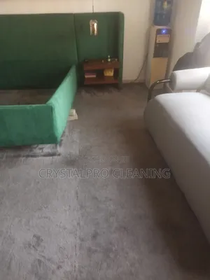 Rug/Sofa Cleaning