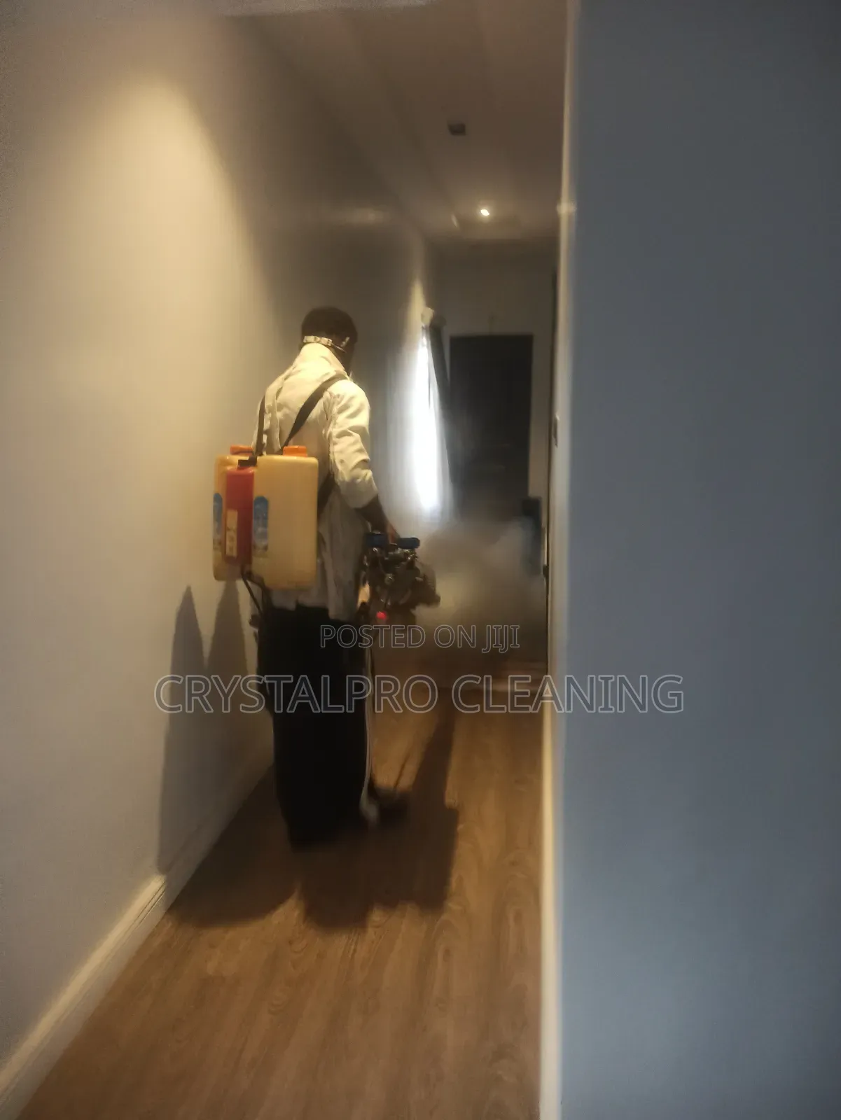 Gas/Fog Fumigation Service