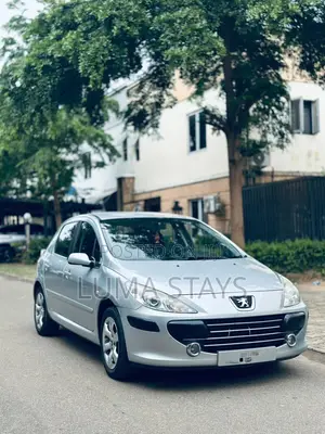 Peugeot 307 1.6 Premium 2008 Silver