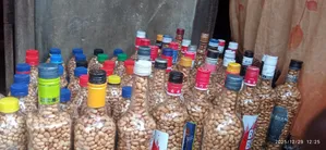 Roasted Groundnut