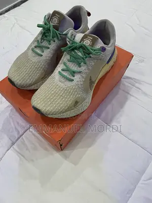Nike React Infinity Run Flyknit 3 Premium