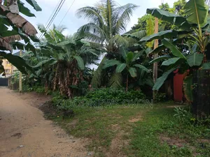 A Good Land for Sale