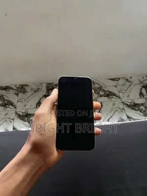 Apple iPhone 12 Pro Max 256 GB Silver