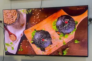 Made in Europe 65 Inch Sony Oled Uhd HDR Smart TV