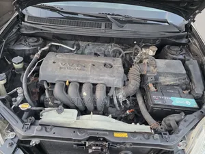 Toyota Matrix Hatchback AWD (1.8L 4cyl 4A) 2005 Green