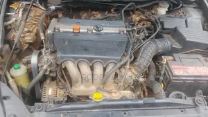 Honda Accord 2005 Gray
