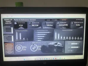 Professional Dashboard Development