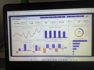 Professional Dashboard Development