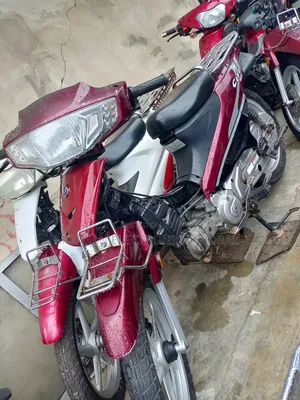CityCoco City 2019 Red