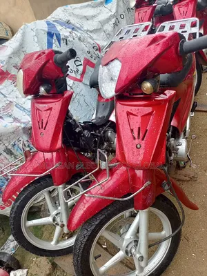 CityCoco City 2019 Red