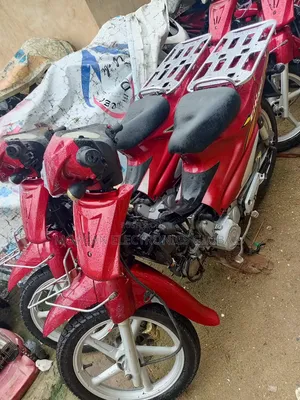 CityCoco City 2019 Red