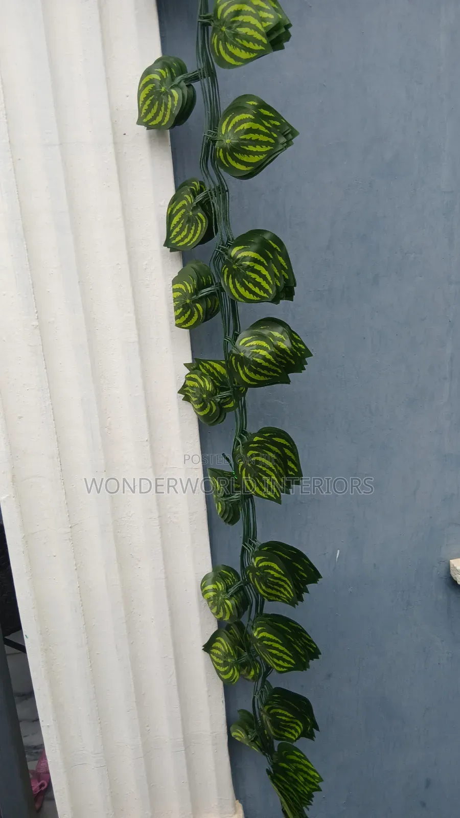 Radish Vine Rope Leave