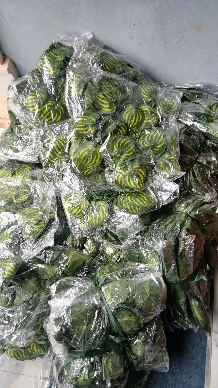 Radish Vine Rope Leave