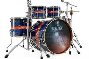 Professional Drum Set