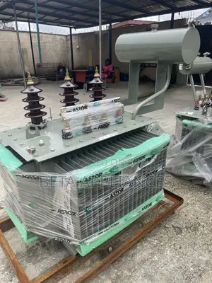 Astor 300 kVA Distribution Transformer