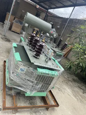 Astor 300 kVA Distribution Transformer