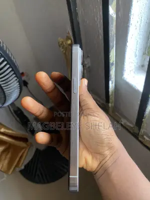 Apple iPhone 15 Pro Max 256 GB Silver