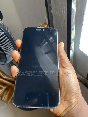 Apple iPhone 15 Pro Max 256 GB Silver