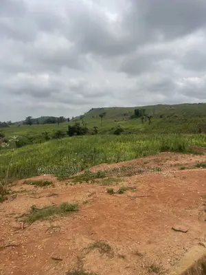 350SQM Estate Land for 4 Bedroom Detached Duplex With C of O