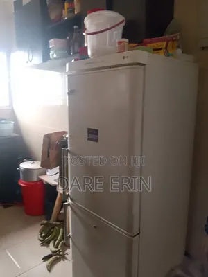 LG Fridge and Freezer Low Energy.