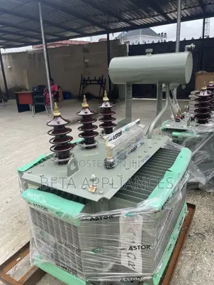 Astor 300 kVA Utility Transformer