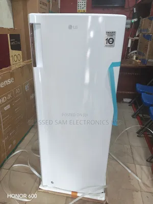 LG Inverter Freezer for Ice Block Maker ( 6 Steps ) 2 Years Warranty