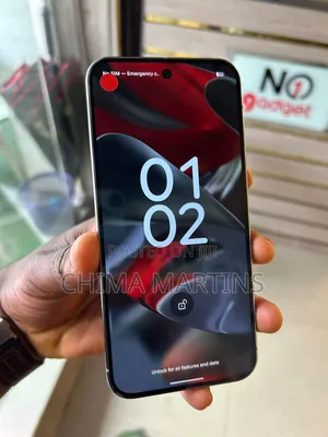 Google Pixel 9 Pro XL 256 GB Gray